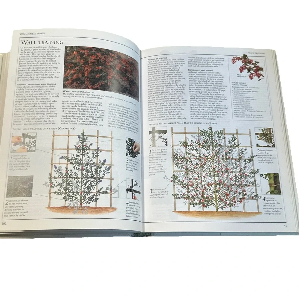 American Horticultural‎ Society Pruning & Training